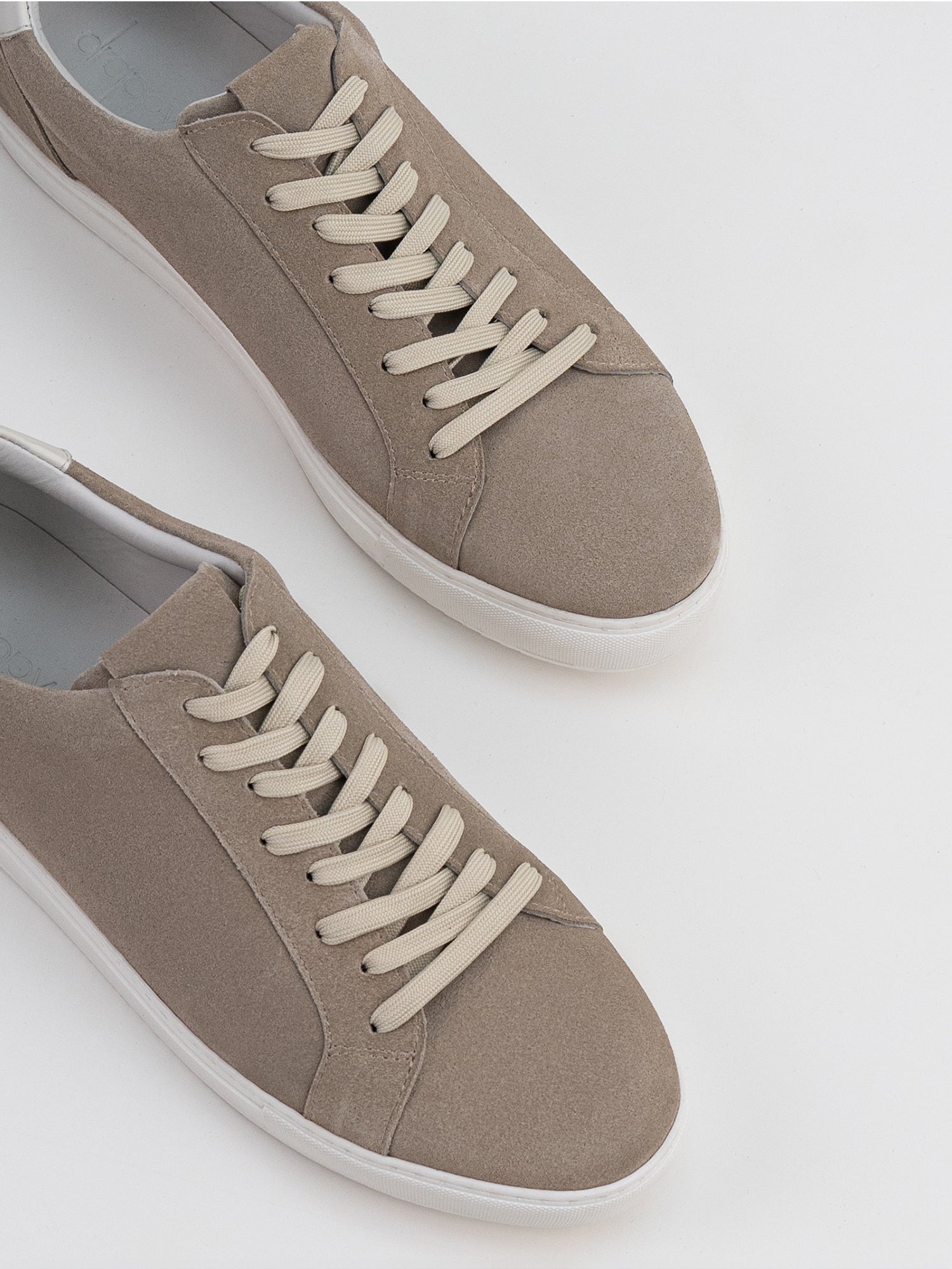 Aster Low-Top