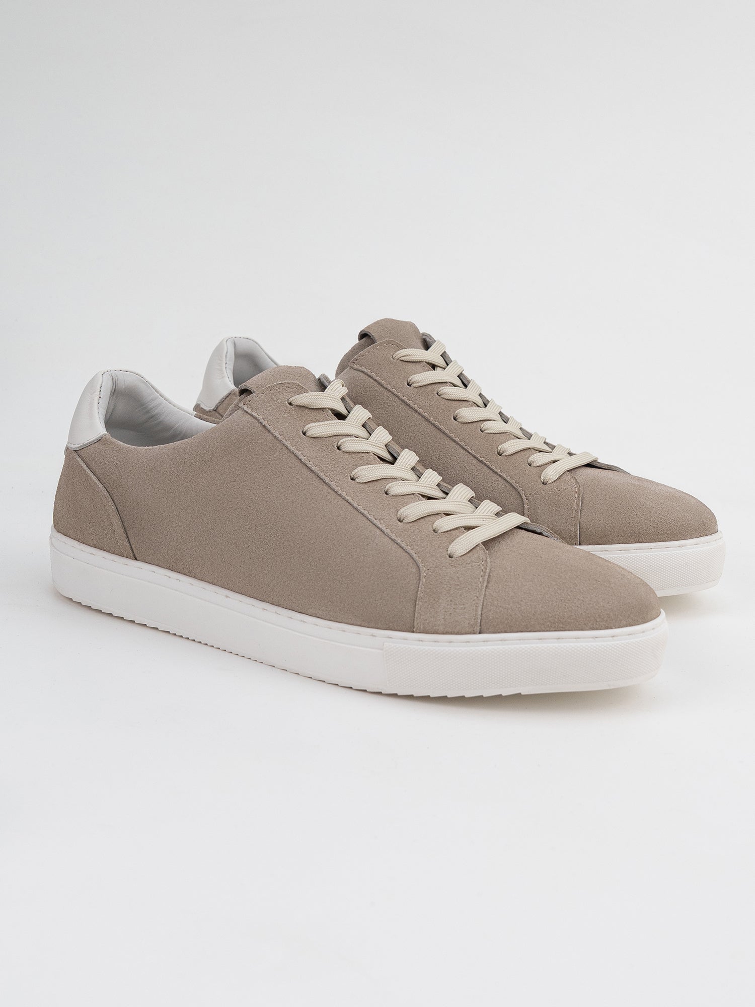 Aster Low-Top